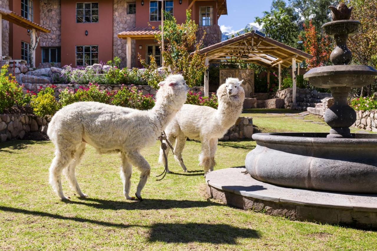 Villa Apu Chicon Urubamba Exterior foto